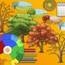 Montessori: Jahreskreis